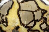 Gorgeous, Polished Septarian Stone - Madagascar #341867-1